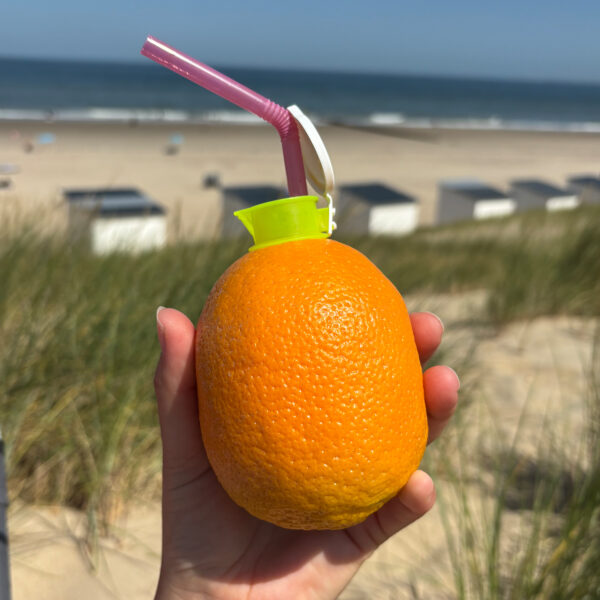 Zitruspresse