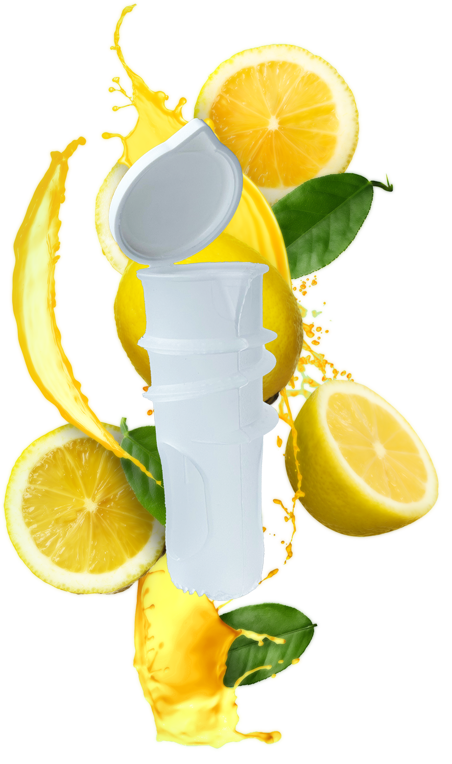 Zitruspresse Zitruspresse